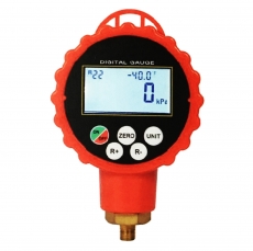 RGD-H Digital Pressure Gauge