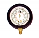 RG-5013H High Pressure Gauge